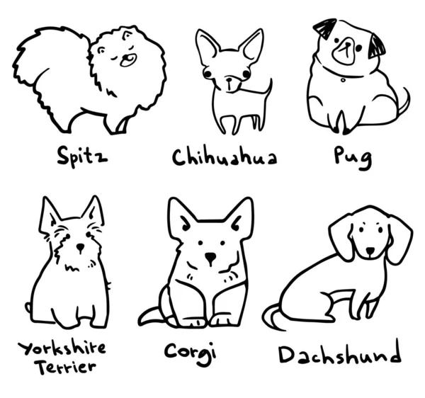 Vázlat hat fajta aranyos kis kutyák, vektor lineart — Stock Vector