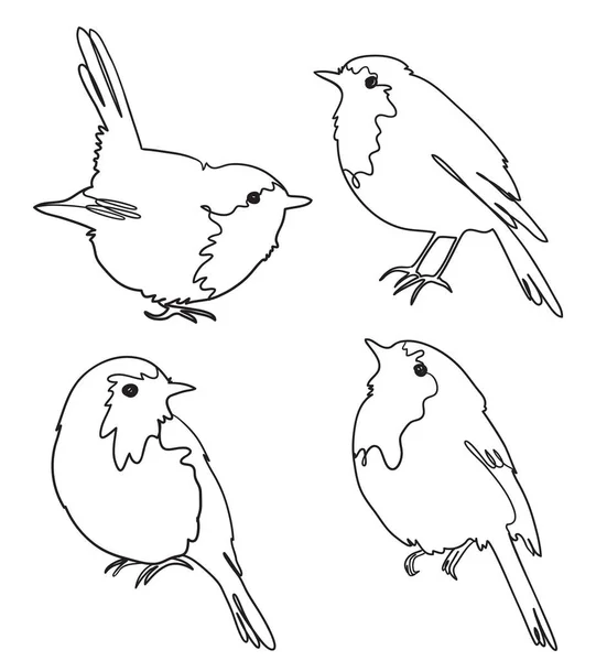 Set of four robin birds, freehand outline vector — 스톡 벡터