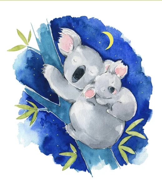 Leuke Koala Familie Slapen Nachts Aquarel Illustratie — Stockfoto