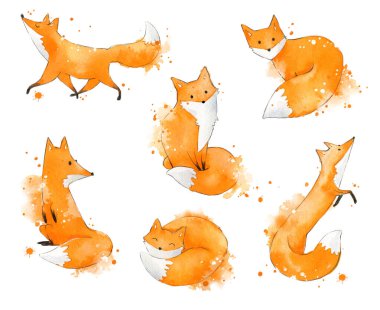 Suluboya tilkiler, elle boyanmış resimler.