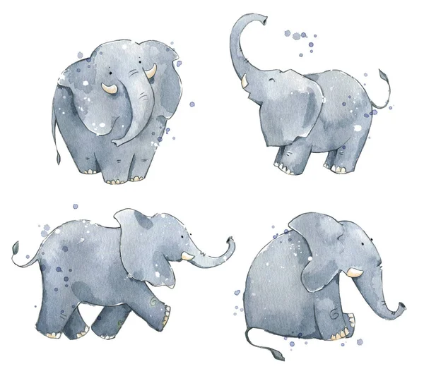 Conjunto Elefantes Aquarela Ilustração Pintada Mão — Fotografia de Stock