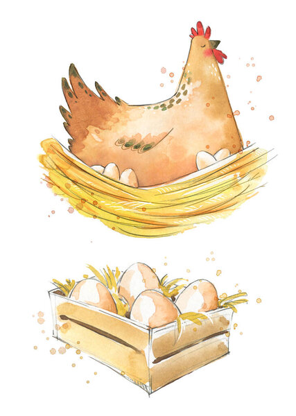 Hen sitting on eggs and a box with fresh eggs, watercolor illustration 