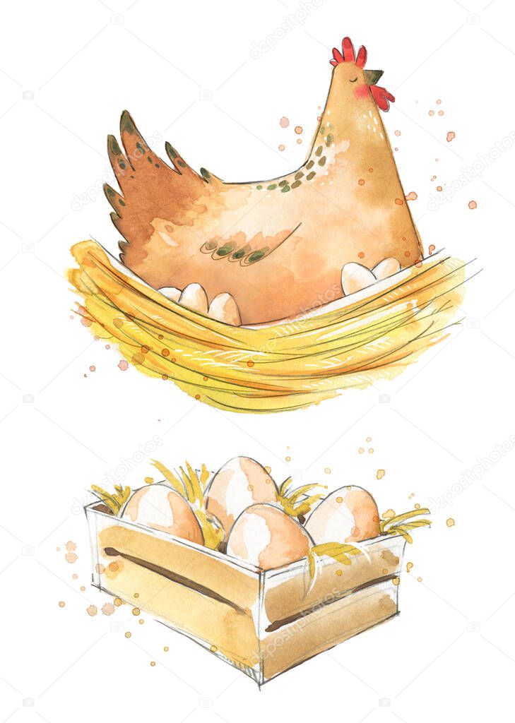 Hen sitting on eggs and a box with fresh eggs, watercolor illustration 