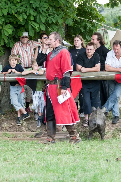 Wenau, Almanya, 01 Ağustos 2010 - turnuva bir ortaçağ gösteri