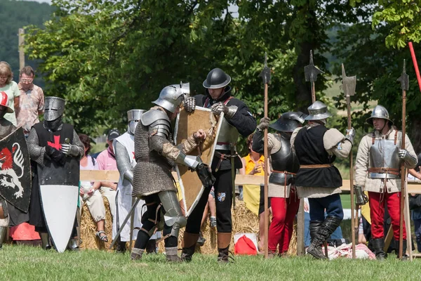 Wenau, Almanya, 01 Ağustos 2010 - turnuva bir ortaçağ gösteri