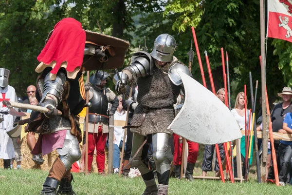 Wenau, Almanya, 01 Ağustos 2010 - turnuva bir ortaçağ gösteri