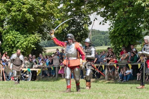 Wenau, Almanya, 01 Ağustos 2010 - turnuva bir ortaçağ gösteri