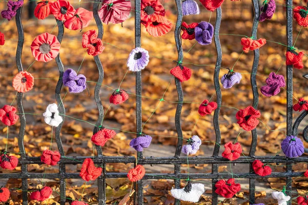 Remembrance Day, sometimes known informally as Poppy Day.A closeup of knitted Poppies to commemorate Armistice Day in the UK — Stock Photo, Image