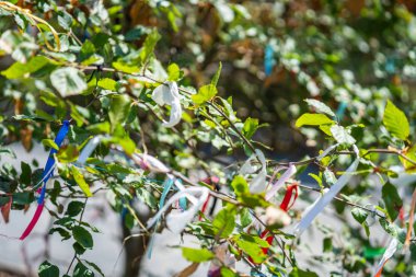 Dilek Ağaçları, diğer adıyla Çalılar, Peri Ağaçları veya Çaput Ağaçları insanların yerel azizlerden dua dilemek için kurdele bağladıkları dikenli ağaçlardır.