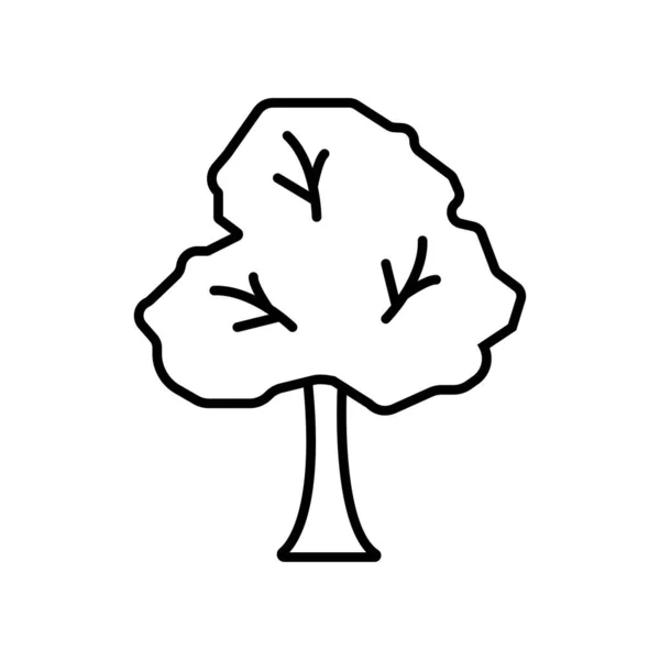 Baum Symbol Vektor Illustration Foto — Stockfoto