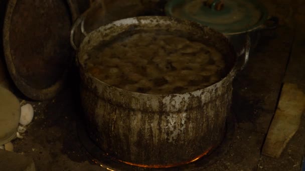 Em uma aldeia remota, as pessoas estão preparando comida para seus animais a partir de batatas e farinha, visão escura — Vídeo de Stock