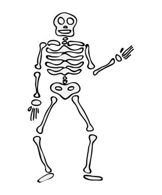 cadılar bayramı iskelet vektör sembolü simge tasarımı. 
