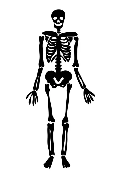 Halloween skeleton vector symbol icon design. — Stock Vector