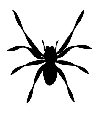 Halloween örümcek vektör simgesi simgesi tasarım. 