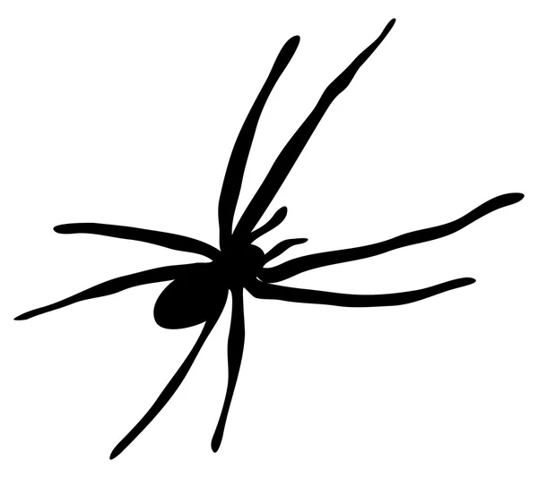 Halloween örümcek vektör simgesi simgesi tasarım. — Stok Vektör