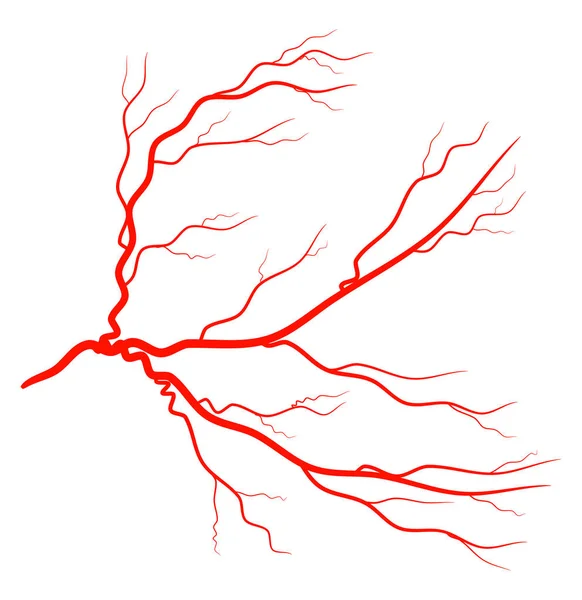 Ojo rojo vena vector símbolo icono de diseño . — Vector de stock