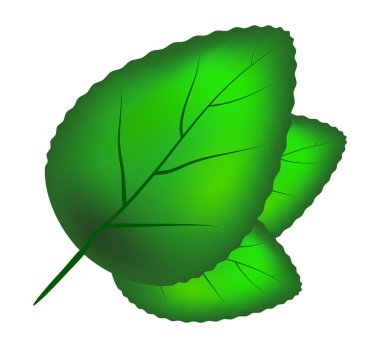 yeşil yaprak vektör simgesi simgesi tasarım.