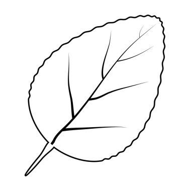  yaprak siluet vektör simgesi simgesi tasarım. 