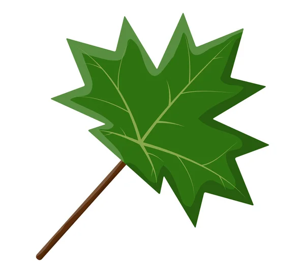 Maple leaf wektor symbol ikona designu. — Wektor stockowy