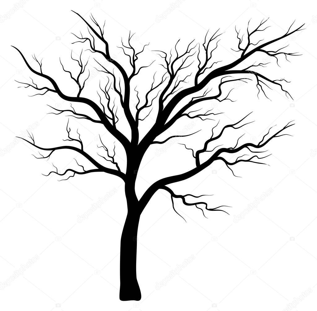 Bare tree silhouette vector symbol icon design. Beautiful illustration isolated on white backgroun