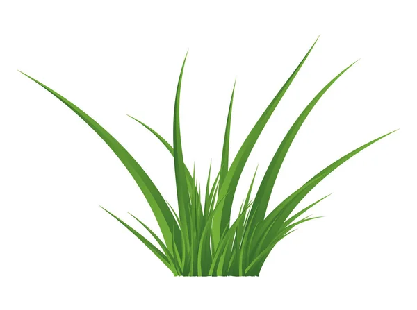 Πράσινο γρασίδι απομονωμένη διάνυσμα σύμβολο εικονίδιο σχεδιασμός. — Διανυσματικό Αρχείο