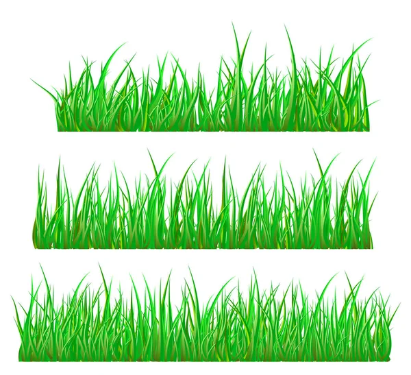 Verde hierba aislado vector icono icono de diseño . — Vector de stock