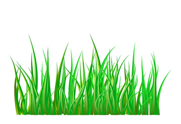 Grünes Gras isolierter Vektor Symbol-Design. — Stockvektor