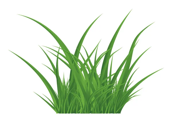 Zelená tráva je izolovaná na bílém pozadí, v trávě, svěží jarní trávě, panoramatickém zobrazení, 3D. Vektorová ilustrace — Stock Vektor © maria_amd #289997456