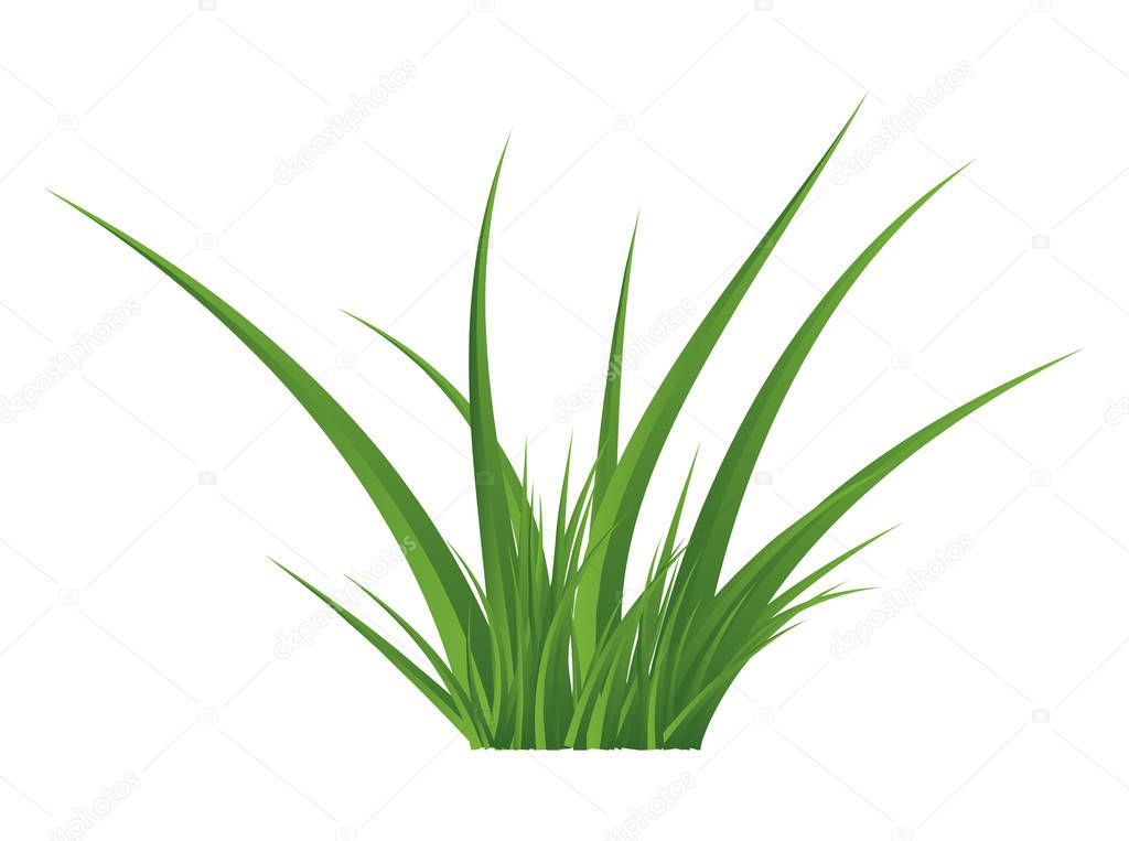 Green grass isolated vector symbol icon design. Beautiful illustration isolated on white backgroun
