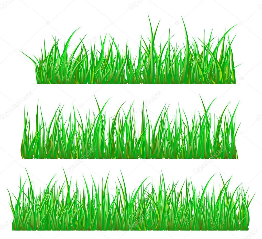 Green grass isolated vector symbol icon design. Beautiful illustration isolated on white backgroun