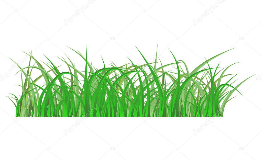 Green grass isolated vector symbol icon design. Beautiful illustration isolated on white backgroun