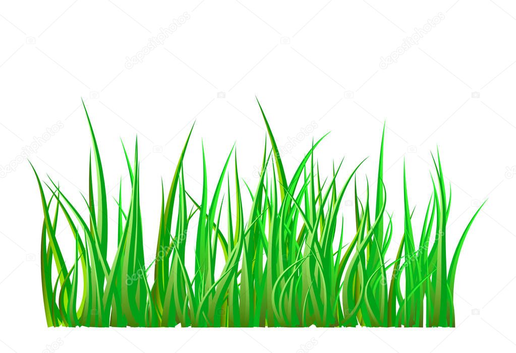 Green grass isolated vector symbol icon design. Beautiful illustration isolated on white backgroun