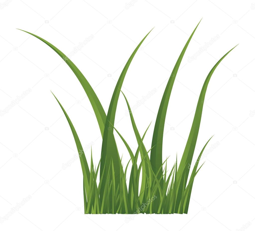 Green grass isolated vector symbol icon design. Beautiful illustration isolated on white backgroun