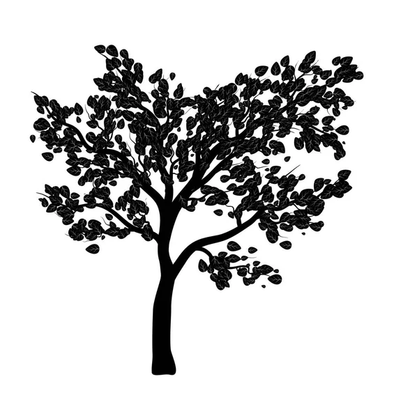 Árbol silueta aislado vector símbolo icono de diseño . — Archivo Imágenes Vectoriales