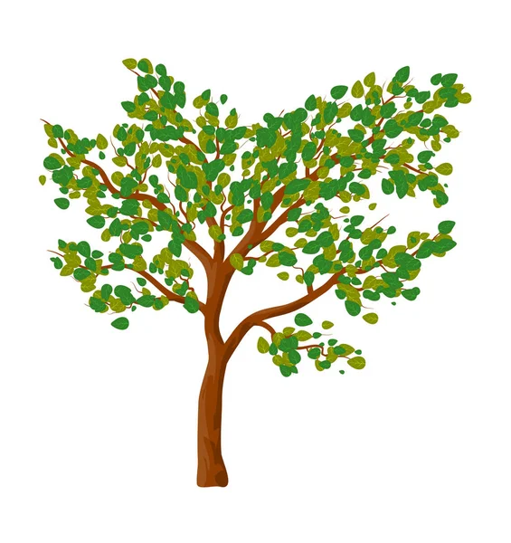 Yeşil ağaç izole vektör simgesi simgesi tasarım. — Stok Vektör