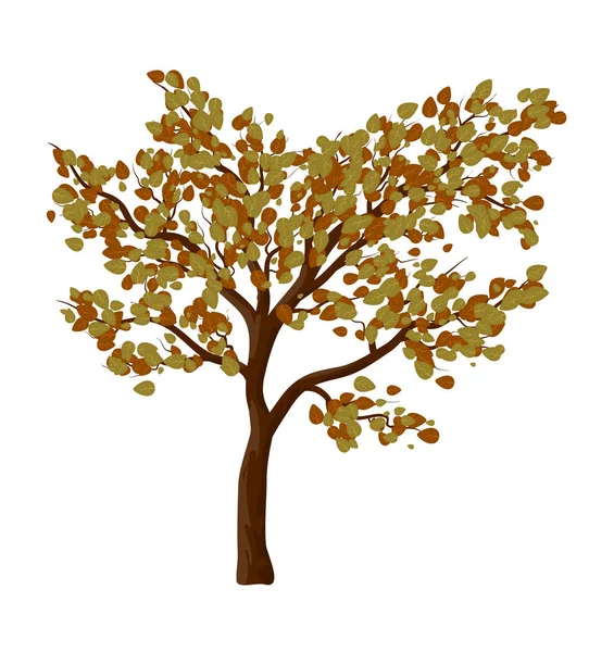 Árbol de otoño aislado vector símbolo icono de diseño . — Vector de stock