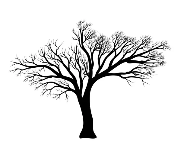 Kala träd silhuett vektor symbol ikon design. — Stock vektor