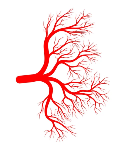 Silhouette de la veine oculaire symbole vectoriel icône design . — Image vectorielle