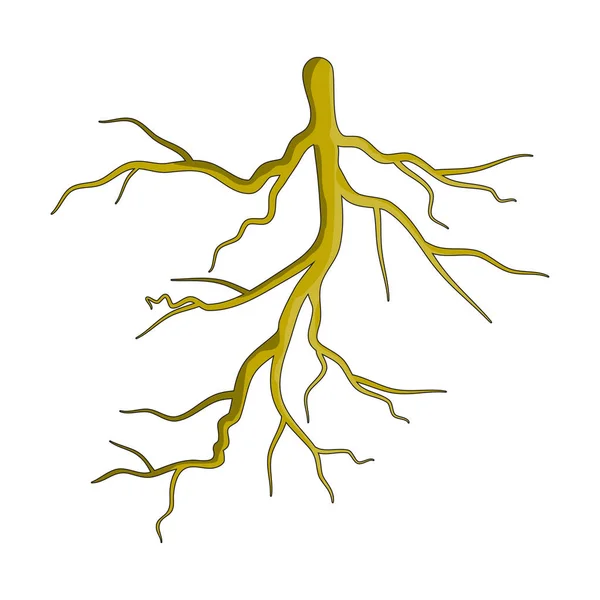 Planta raíz dibujo animado vector icono de diseño. Hermoso illustr — Archivo Imágenes Vectoriales