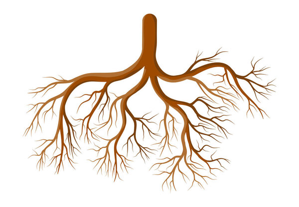 дизайн иконки векторного символа корневого растения. Иллюстратор
