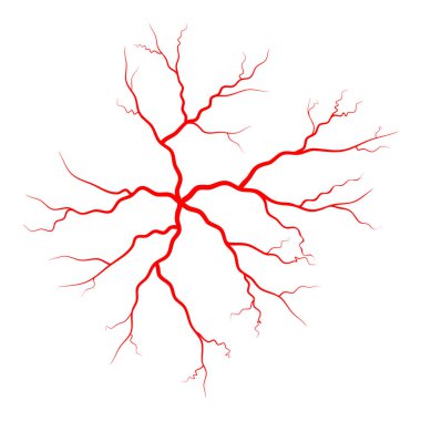 İnsan damar, damar vektör simgesi simgesi tasarım. 