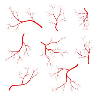 İnsan damar, damar set vektör simgesi simgesi tasarım. 