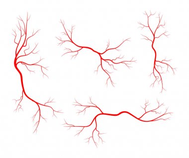 İnsan damar, damar set vektör simgesi simgesi tasarım. 