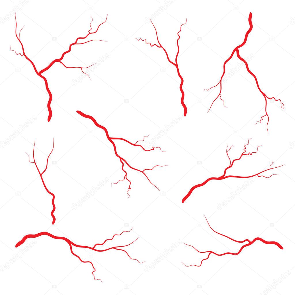 Human vein, vessel set vector symbol icon design. 