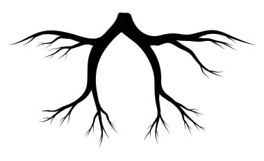 kök siluet vektör simgesi simgesi tasarım. 