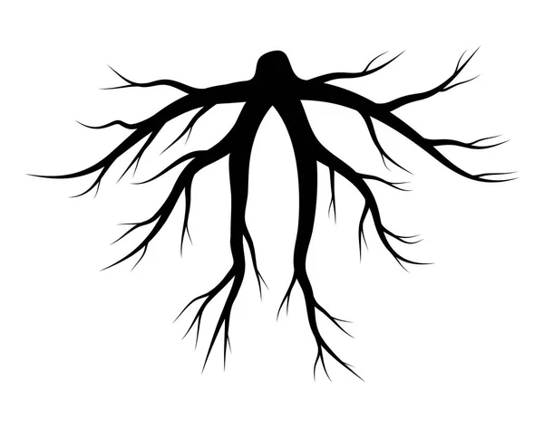 Desenho de ícone de símbolo de vetor de silhueta raiz . — Vetor de Stock