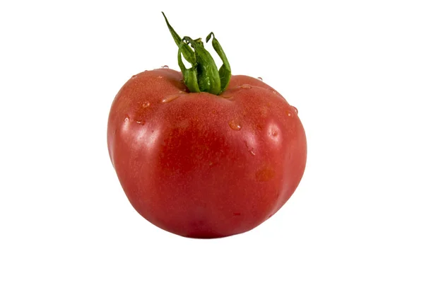 흰색 배경 사진에 고립 빨간 토마토입니다. 아름 다운 그림 — 스톡 사진