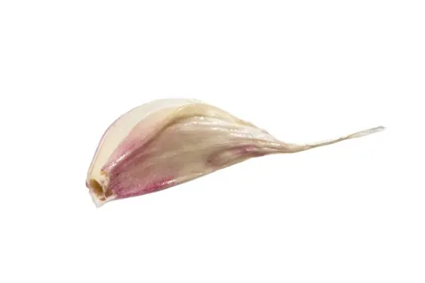 Clove of garlic isolated on white background photo. Beautiful pi — Stock Photo, Image