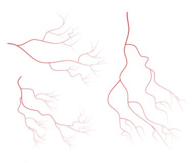Kırmızı ven set vektör simgesi simgesi tasarım. Güzel illüstrasyon ben