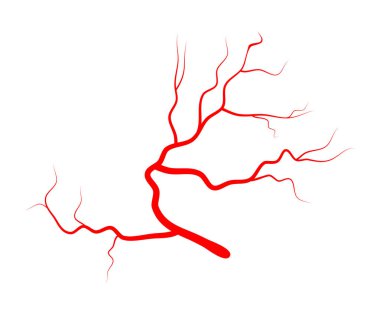 göz damar vektör simgesi simgesi tasarım.